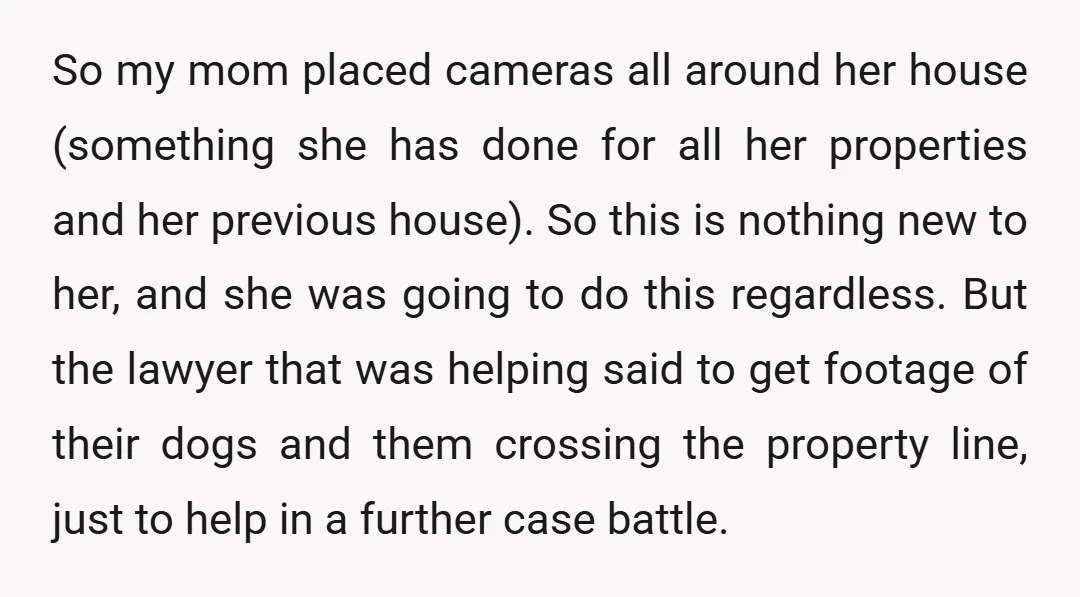 So my mom placed cameras all around her house (something she has done for all her properties and her previous house). So this is nothing new to her, and she...