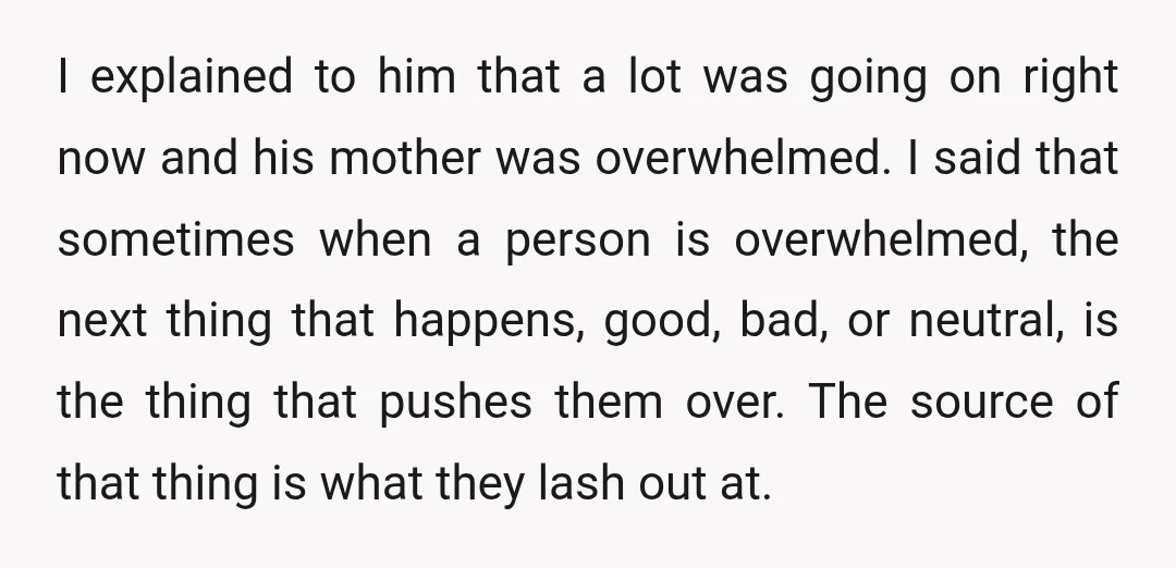 I explained to him that a lot was going on right now and his mother was overwhelmed. I said that sometimes when a person is overwhelmed, the next thing that...