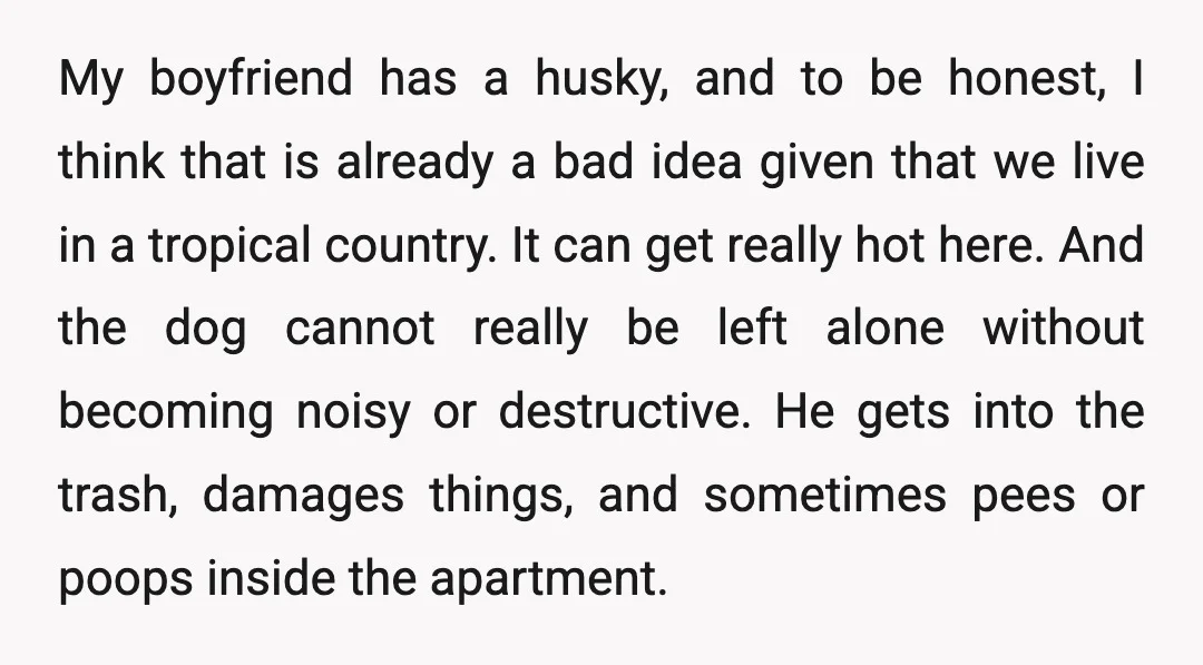 My boyfriend has a husky, and to be honest, I think that is already a bad idea given that we live in a tropical country. It can get really hot...
