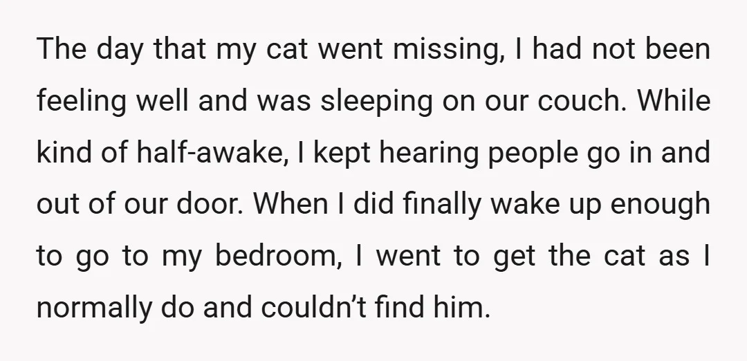 The day that my cat went missing, I had not been feeling well and was sleeping on our couch. While kind of half-awake, I kept hearing people go in and...