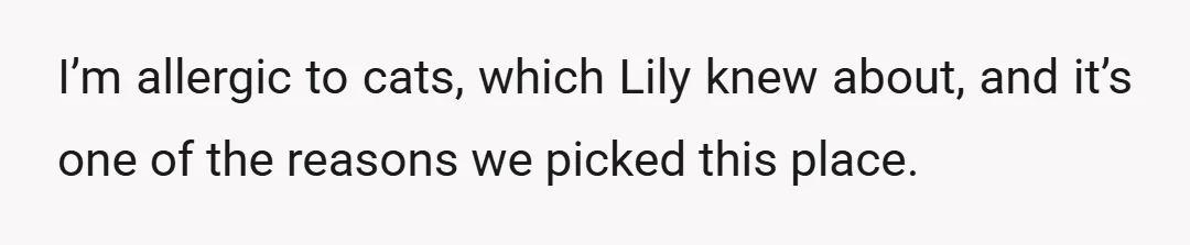 I’m allergic to cats, which Lily knew about, and it’s one of the reasons we picked this place.