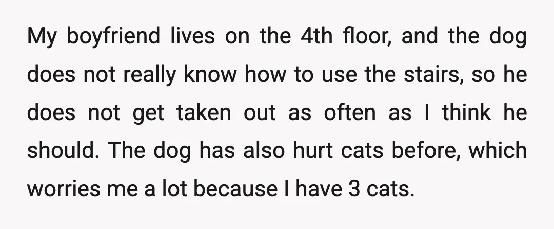 My boyfriend lives on the 4th floor, and the dog does not really know how to use the stairs, so he does not get taken out as often as I...