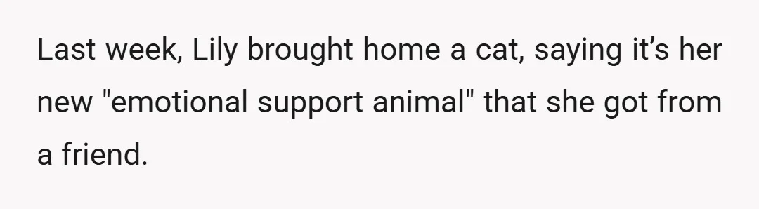 Last week, Lily brought home a cat, saying it’s her new "emotional support animal" that she got from a friend.