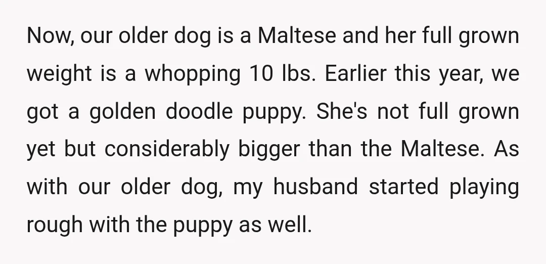 Now, our older dog is a Maltese and her full grown weight is a whopping 10 lbs. Earlier this year, we got a golden doodle puppy. She's not full grown...