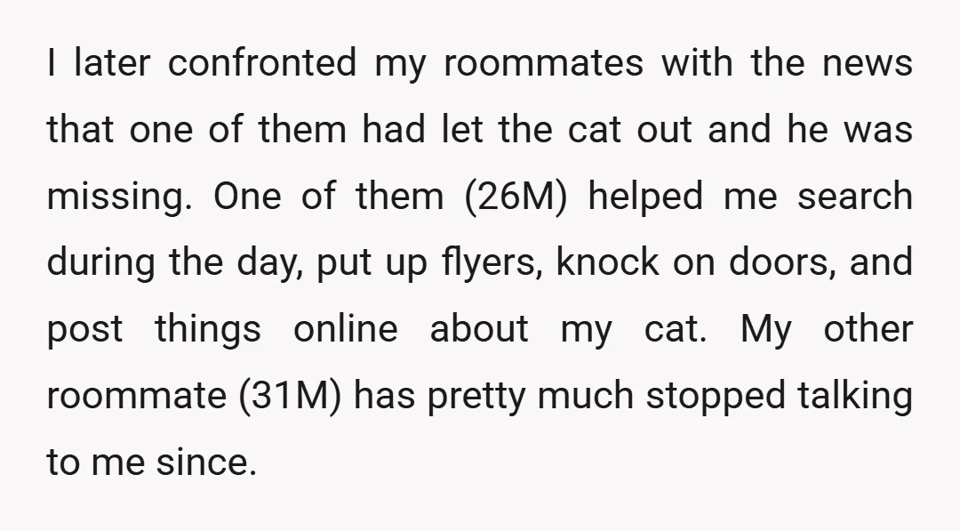 I later confronted my roommates with the news that one of them had let the cat out and he was missing. One of them (26M) helped me search during the...