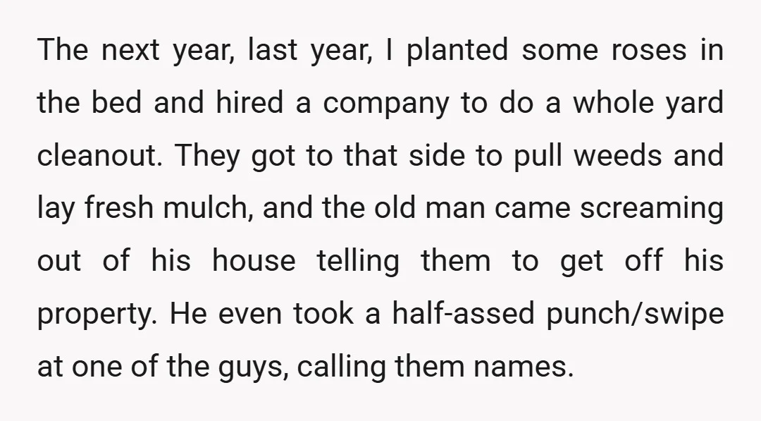 The next year, last year, I planted some roses in the bed and hired a company to do a whole yard cleanout. They got to that side to pull weeds...