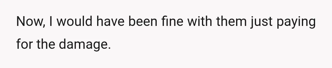 Now, I would have been fine with them just paying for the damage.