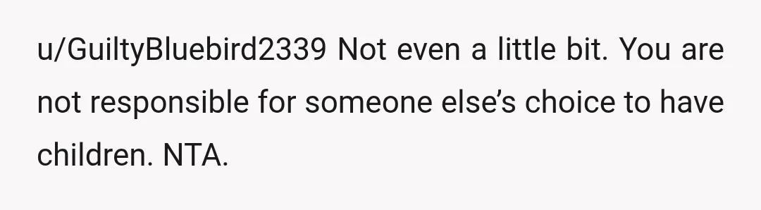u/GuiltyBluebird2339
Not even a little bit. You are not responsible for someone else’s choice to have children. NTA.