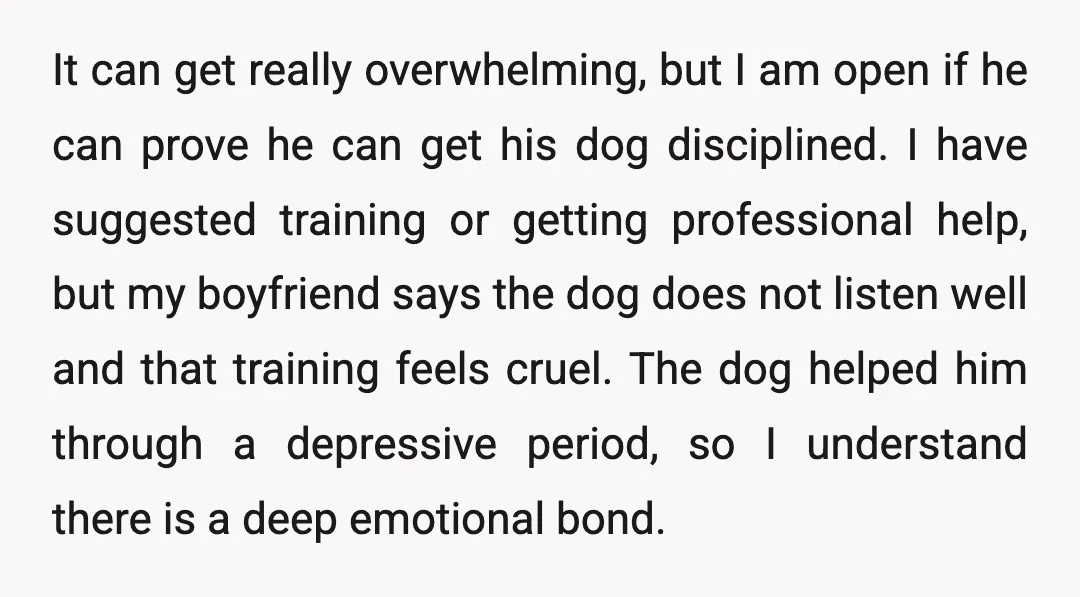 It can get really overwhelming, but I am open if he can prove he can get his dog disciplined. I have suggested training or getting professional help, but my boyfriend...