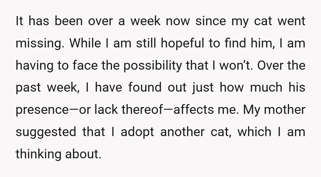 It has been over a week now since my cat went missing. While I am still hopeful to find him, I am having to face the possibility that I won’t....