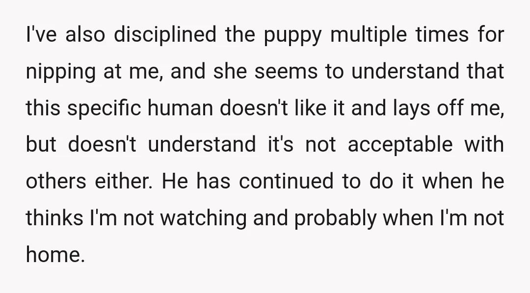 I've also disciplined the puppy multiple times for nipping at me, and she seems to understand that this specific human doesn't like it and lays off me, but doesn't understand...