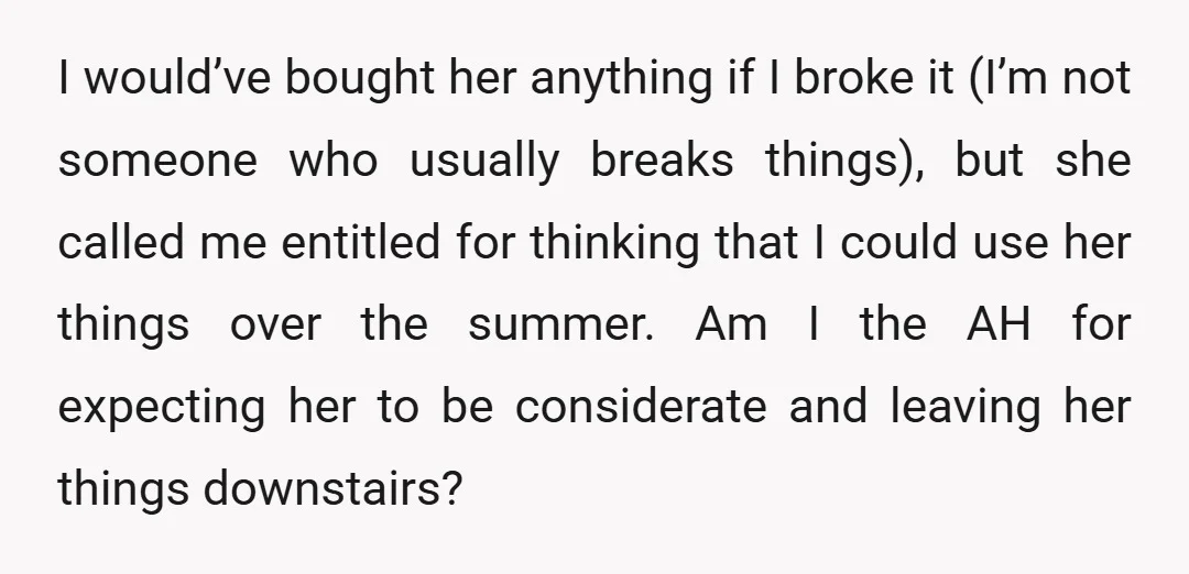 I would’ve bought her anything if I broke it (I’m not someone who usually breaks things), but she called me entitled for thinking that I could use her things over...