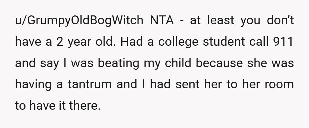 u/GrumpyOldBogWitch NTA - at least you don’t have a 2 year old. Had a college student call 911 and say I was beating my child because she was having a...