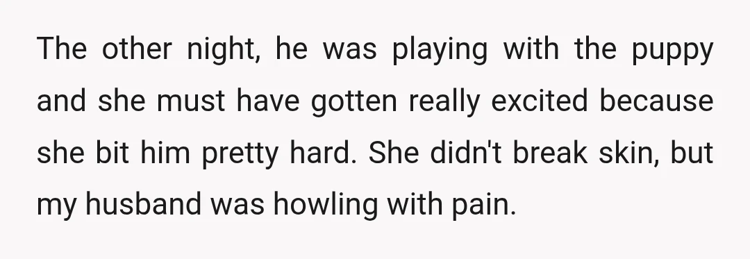 The other night, he was playing with the puppy and she must have gotten really excited because she bit him pretty hard. She didn't break skin, but my husband was...