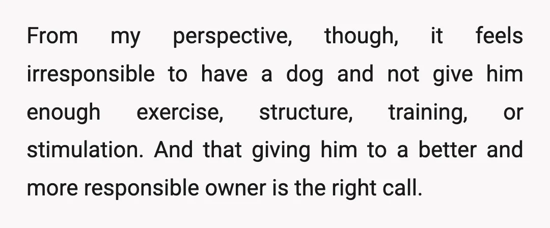 From my perspective, though, it feels irresponsible to have a dog and not give him enough exercise, structure, training, or stimulation. And that giving him to a better and more...
