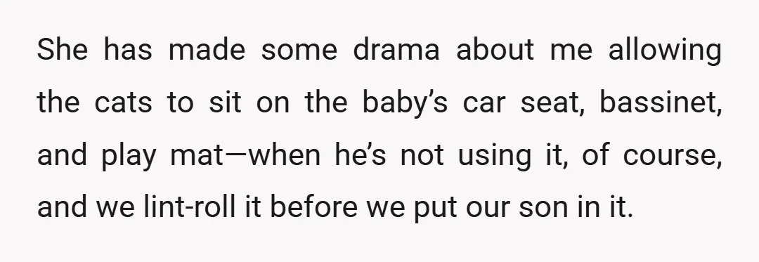 She has made some drama about me allowing the cats to sit on the baby’s car seat, bassinet, and play mat—when he’s not using it, of course, and we lint-roll...