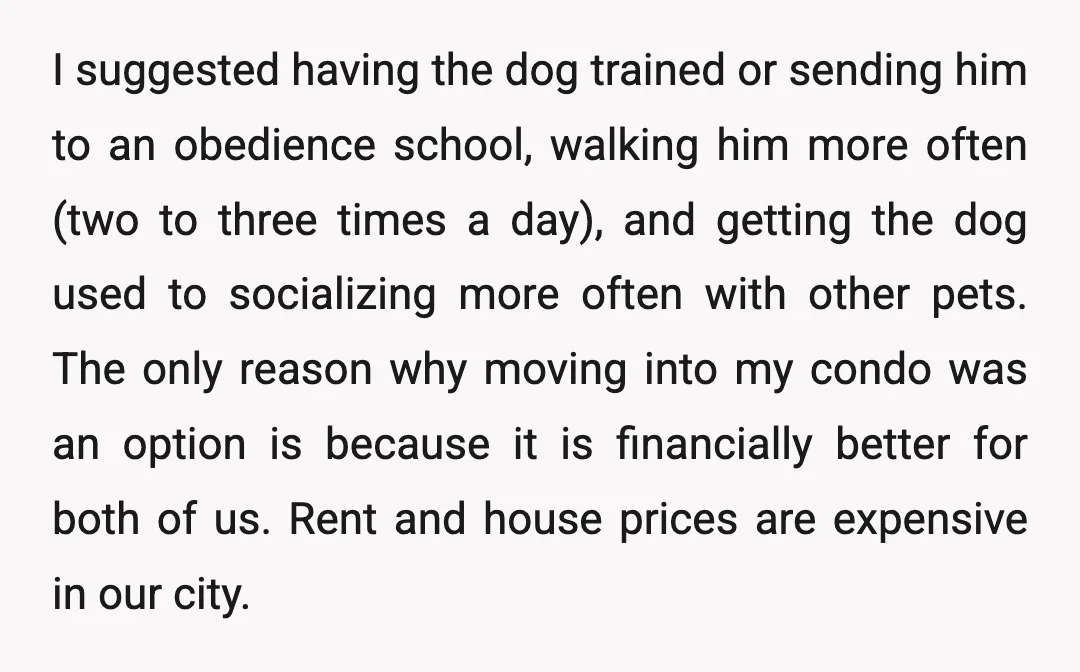 I suggested having the dog trained or sending him to an obedience school, walking him more often (two to three times a day), and getting the dog used to socializing...