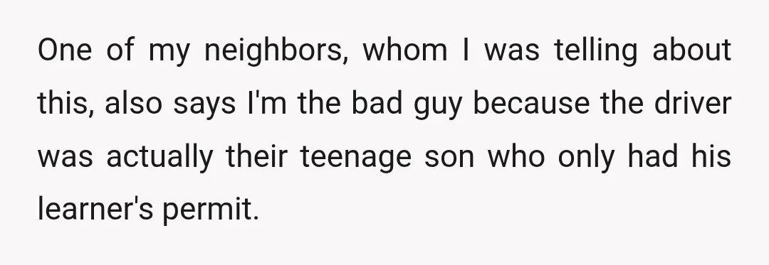 One of my neighbors, whom I was telling about this, also says I'm the bad guy because the driver was actually their teenage son who only had his learner's permit.