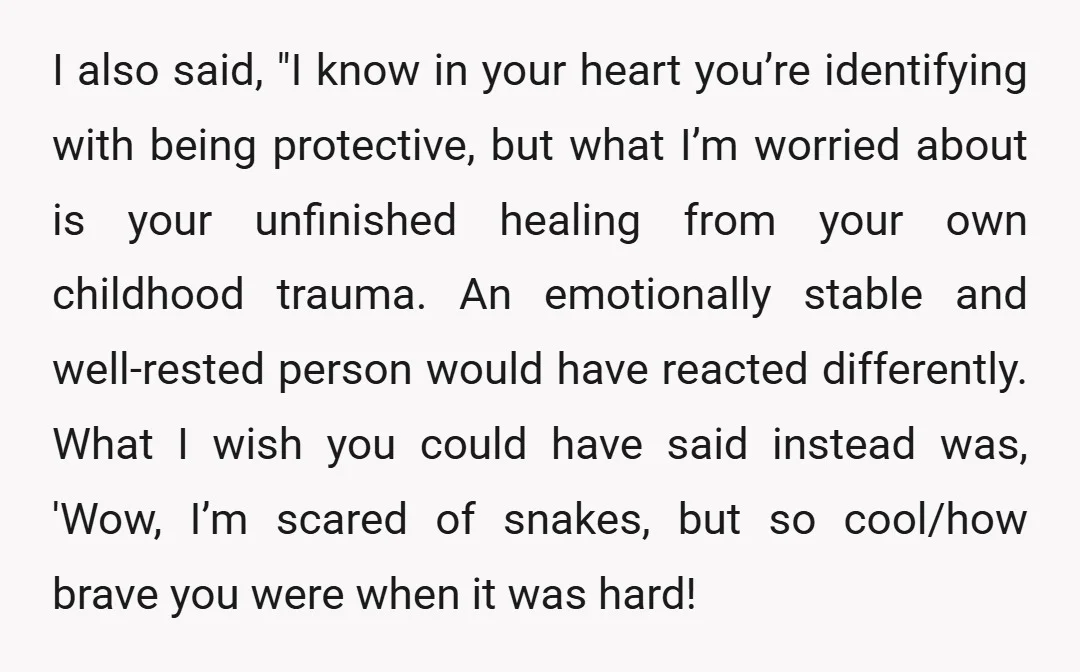 I also said, "I know in your heart you’re identifying with being protective, but what I’m worried about is your unfinished healing from your own childhood trauma. An emotionally stable...