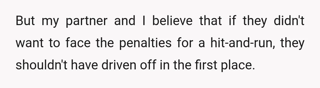 But my partner and I believe that if they didn't want to face the penalties for a hit-and-run, they shouldn't have driven off in the first place.