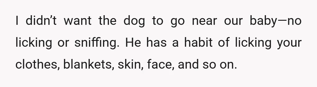 I didn’t want the dog to go near our baby—no licking or sniffing. He has a habit of licking your clothes, blankets, skin, face, and so on.