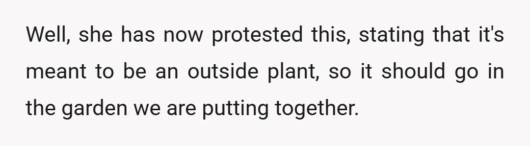 Well, she has now protested this, stating that it's meant to be an outside plant, so it should go in the garden we are putting together.