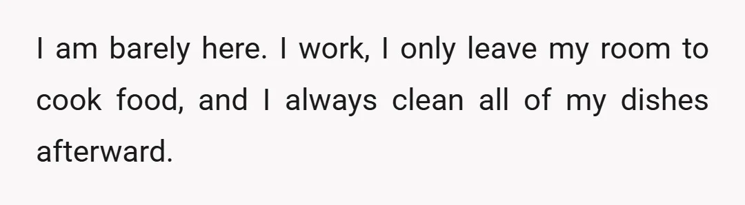 I am barely here. I work, I only leave my room to cook food, and I always clean all of my dishes afterward.