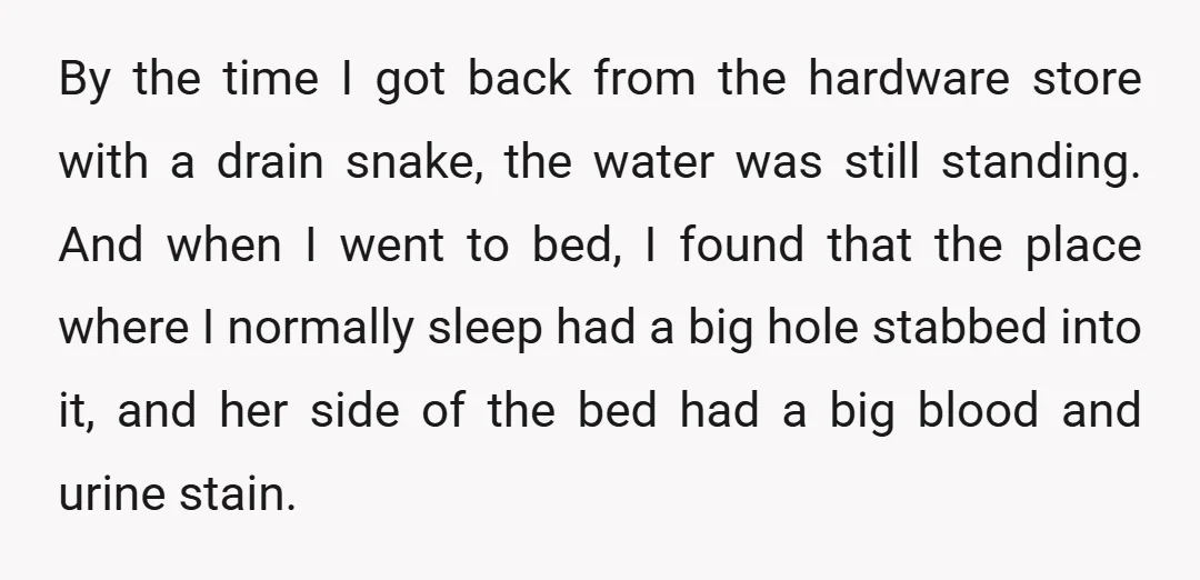 By the time I got back from the hardware store with a drain snake, the water was still standing. And when I went to bed, I found that the place...