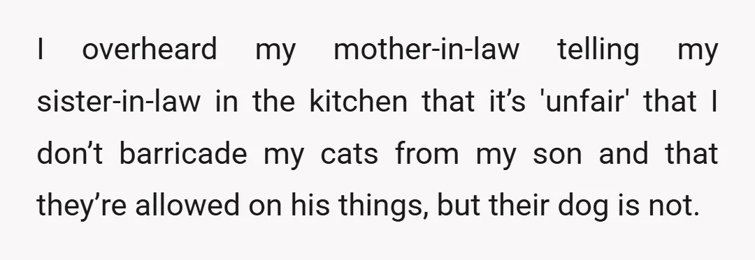 I overheard my mother-in-law telling my sister-in-law in the kitchen that it’s 'unfair' that I don’t barricade my cats from my son and that they’re allowed on his things, but...