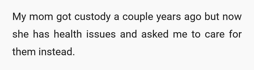 TLDR: My sis lost custody of her 3 kids years ago.