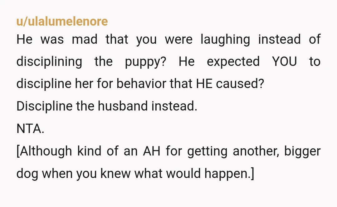 u/ulalumelenore He was mad that you were laughing instead of disciplining the puppy? He expected YOU to discipline her for behavior that HE caused? Discipline the husband instead. NTA. [Although...