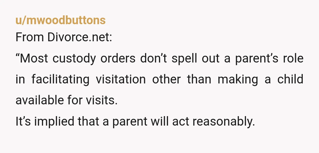 u/mwoodbuttons From Divorce.net: “Most custody orders don’t spell out a parent’s role in facilitating visitation other than making a child available for visits. It’s implied that a parent will act...