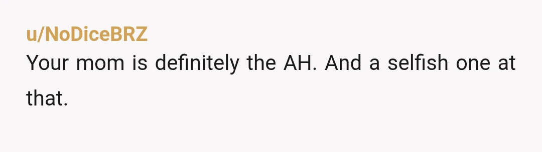 u/NoDiceBRZ
Your mom is definitely the AH. And a selfish one at that.