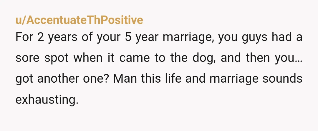 u/AccentuateThPositive For 2 years of your 5 year marriage, you guys had a sore spot when it came to the dog, and then you… got another one? Man this life...