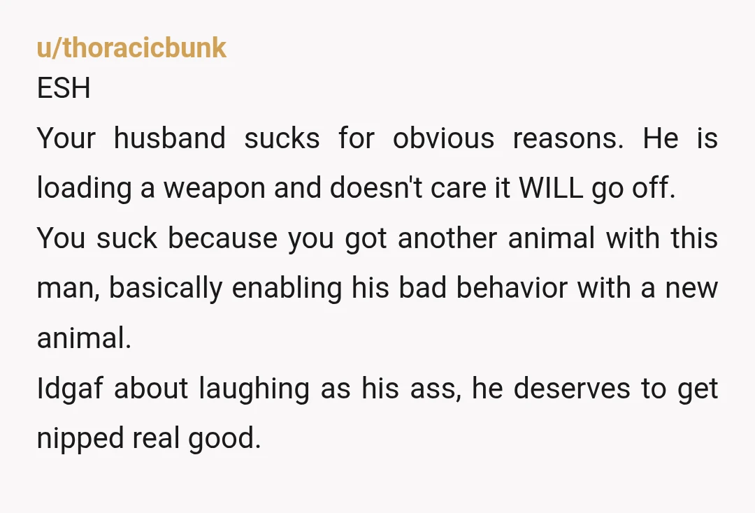 u/thoracicbunk ESH Your husband sucks for obvious reasons. He is loading a weapon and doesn't care it WILL go off. You suck because you got another animal with this man,...