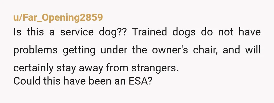 u/Far_Opening2859
Is this a service dog?? Trained dogs do not have problems getting under the owner's chair, and will certainly stay away from strangers.
Could this have been an ESA?