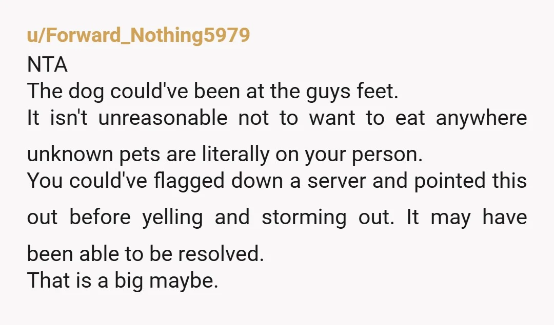 u/Forward_Nothing5979 NTA The dog could've been at the guys feet. It isn't unreasonable not to want to eat anywhere unknown pets are literally on your person. You could've flagged down...
