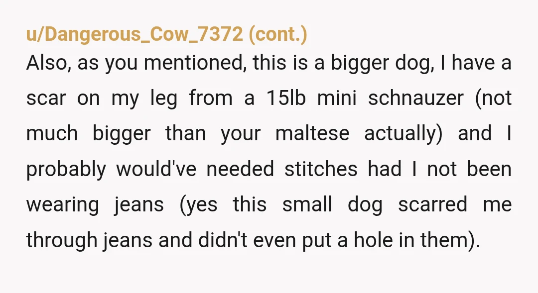 u/kittywyeth
i can’t say i wouldn’t have laughed too, but that’s besides the point. neither of you should own dogs! ESH