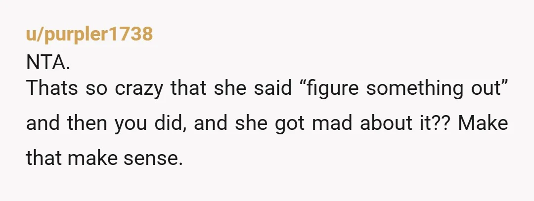 u/purpler1738
NTA.
Thats so crazy that she said “figure something out” and then you did, and she got mad about it?? Make that make sense.