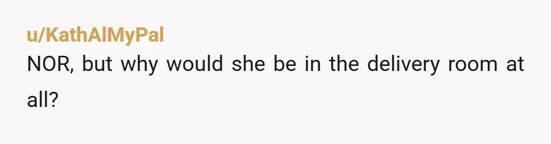 u/KathAlMyPal
NOR, but why would she be in the delivery room at all?
