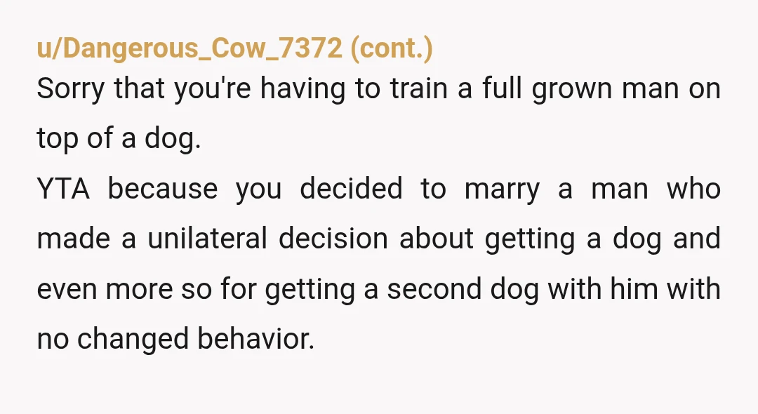 u/LadyHorseFace13 Please don’t have children with him. There going to get and the have trauma from that. And your up will get put down. And don’t let children come over....