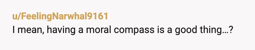 u/FeelingNarwhal9161
I mean, having a moral compass is a good thing…?