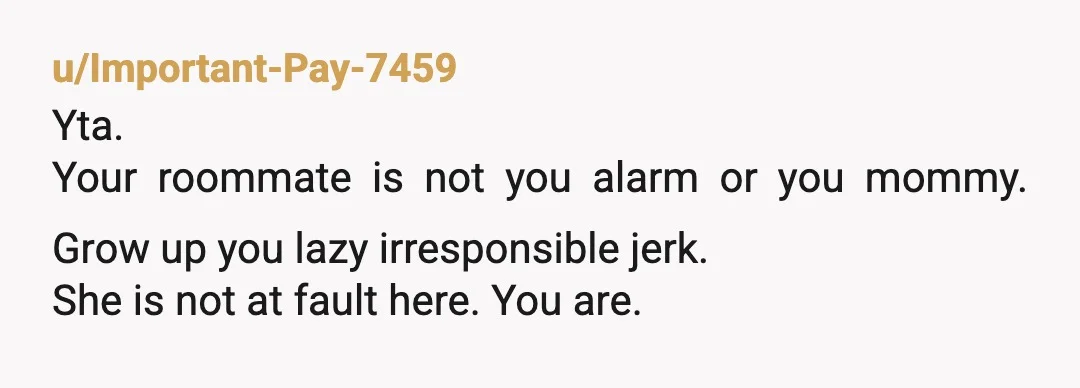 u/Important-Pay-7459
Yta.
Your roommate is not you alarm or you mommy. Grow up you lazy irresponsible jerk.
She is not at fault here. You are.