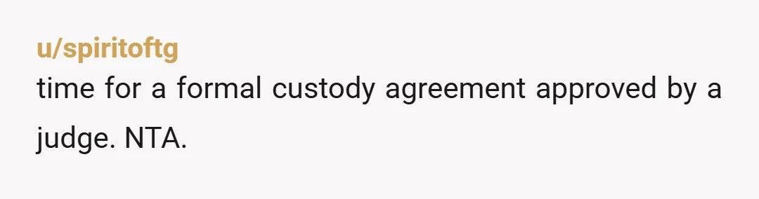 u/spiritoftg
time for a formal custody agreement approved by a judge. NTA.