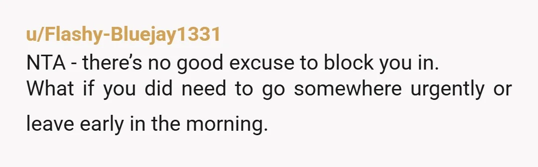 u/Flashy-Bluejay1331
NTA - there’s no good excuse to block you in.
What if you did need to go somewhere urgently or leave early in the morning.