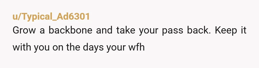 u/Typical_Ad6301
Grow a backbone and take your pass back. Keep it with you on the days your wfh
