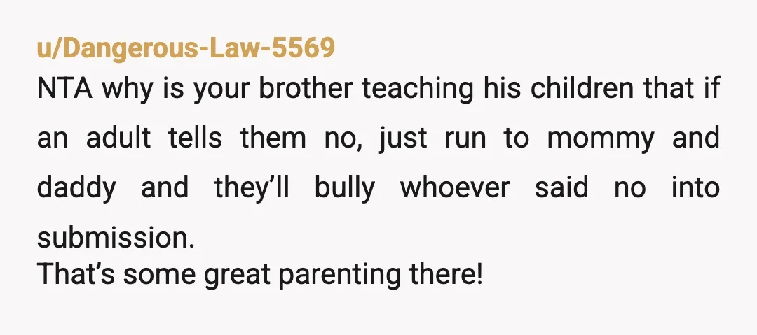 u/Dangerous-Law-5569 NTA why is your brother teaching his children that if an adult tells them no, just run to mommy and daddy and they’ll bully whoever said no into submission....