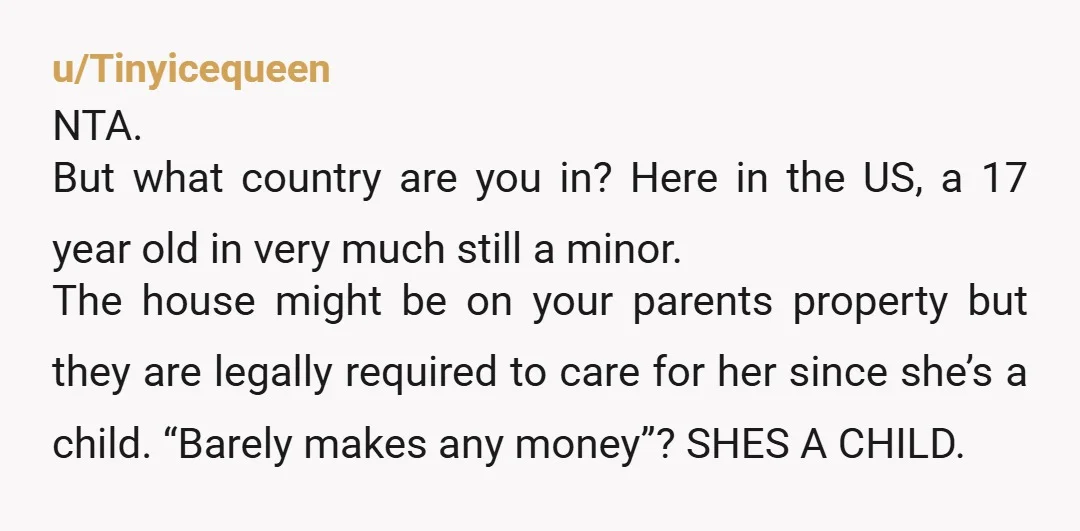 u/Tinyicequeen NTA. But what country are you in? Here in the US, a 17 year old in very much still a minor. The house might be on your parents property...