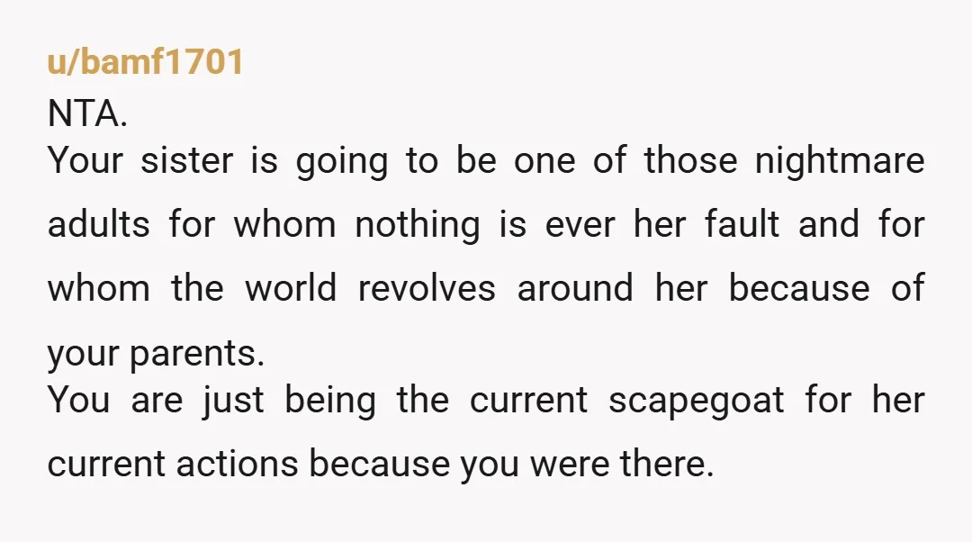 u/bamf1701 NTA. Your sister is going to be one of those nightmare adults for whom nothing is ever her fault and for whom the world revolves around her because of...