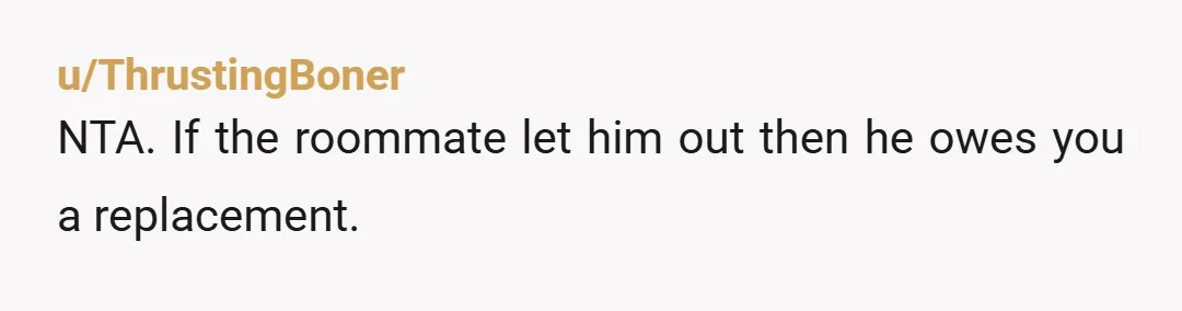 u/ThrustingBoner
NTA. If the roommate let him out then he owes you a replacement.